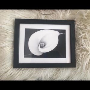 Photography by Sara Liu world famous photographer.